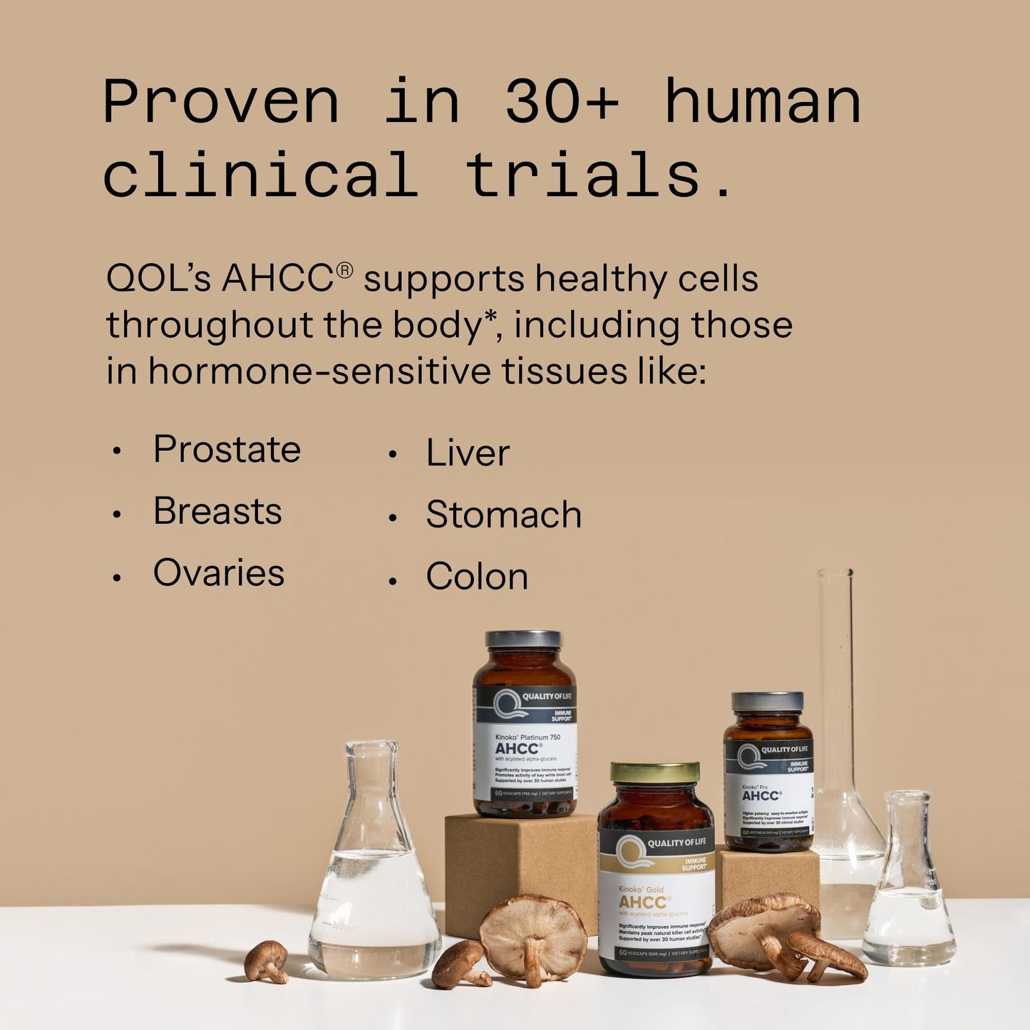 AHCC - Kinoko Platinum